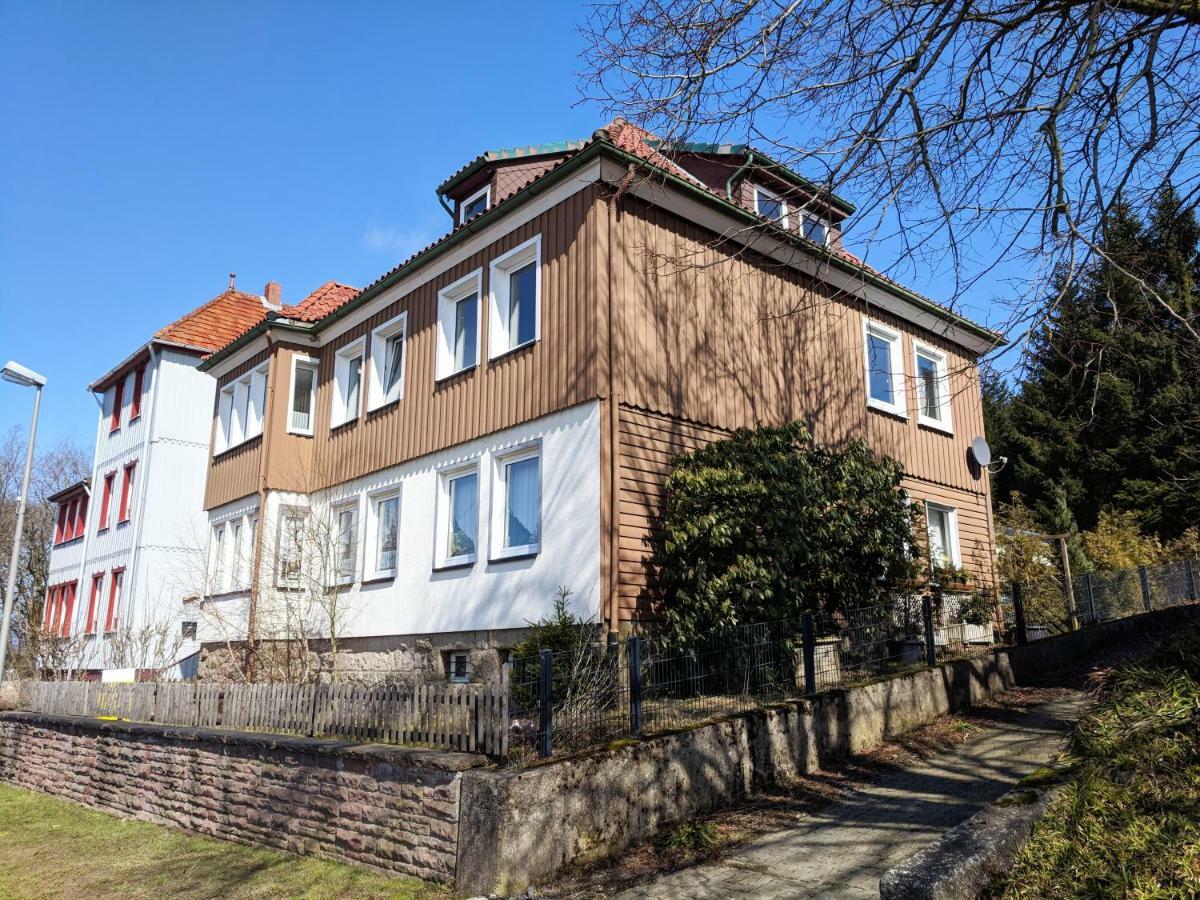 Hohegeiß Ferienwohnung Hochgefuehl מראה חיצוני תמונה